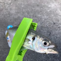 パターン分からず…