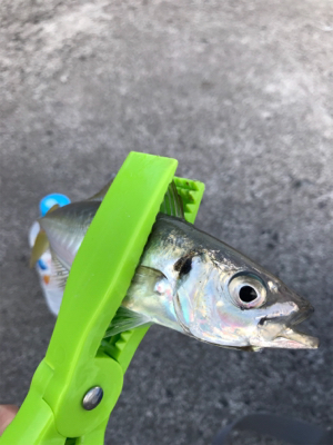 パターン分からず…