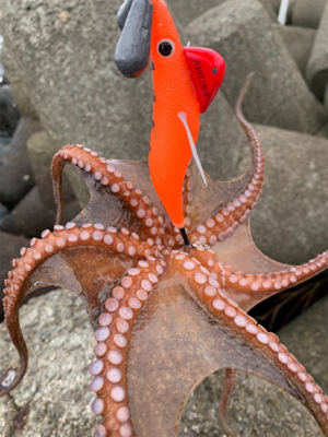 ショアタコ爆発！