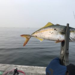 シーバスさがし！