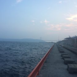 チャリコ猛攻かわしきれず