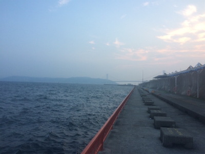 チャリコ猛攻かわしきれず