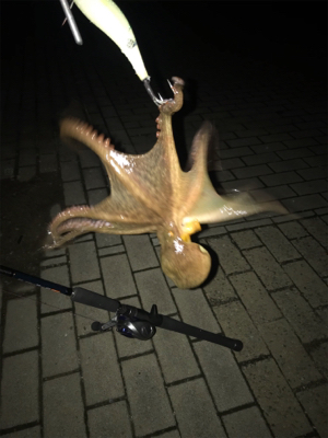 ダブルヘッダーで…