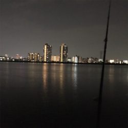 カッティングベイトのキビレグレープがどハマり