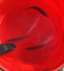 アジandママカリのパラダイスに