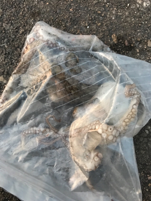 仕事帰りの短時間