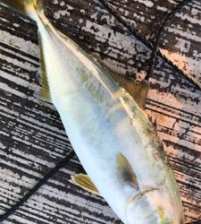 久しぶりの空港