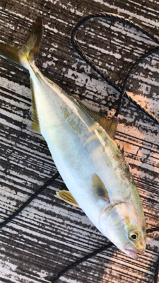 久しぶりの空港