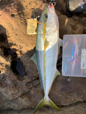 対馬ショアジギング