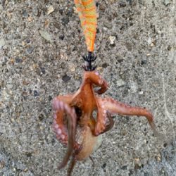 仕事帰り何とか。