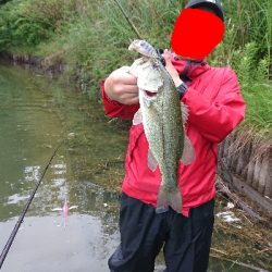 トップウォーター