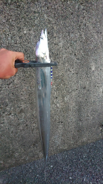 ライトショアジギング