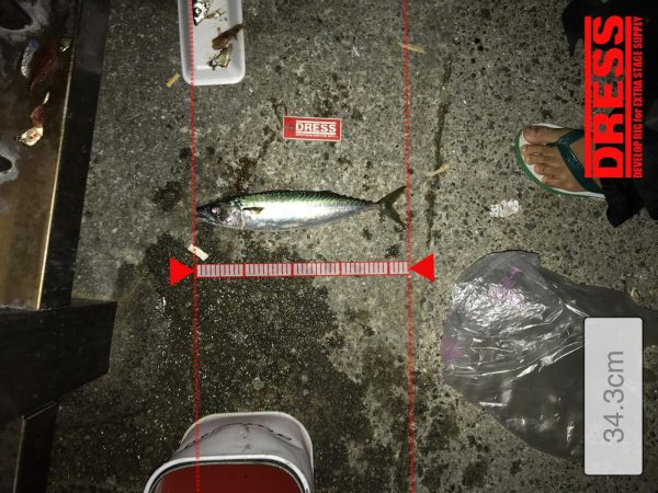 アジュール深夜の大サバ