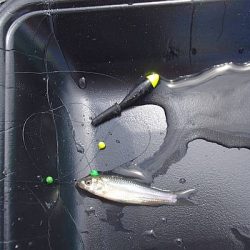 お手軽小物釣り