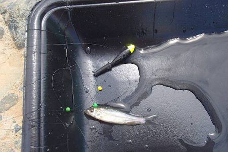 お手軽小物釣り