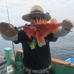 根魚釣り