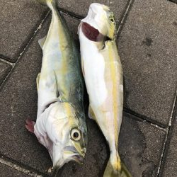 エイはキライです(-_-;)