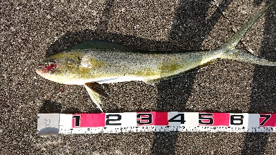 勉強不足を痛感！