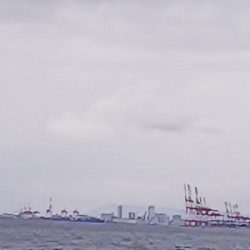 ツバスはいつまで続く？