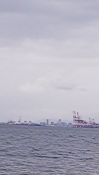 ツバスはいつまで続く？