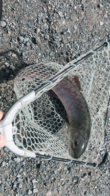 川場フィッシングプラザ