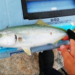 シャローエリアで一投目から…