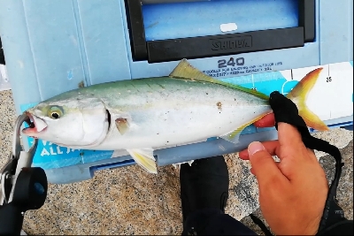 シャローエリアで一投目から...