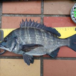 短時間にて　～辰巳一付近～