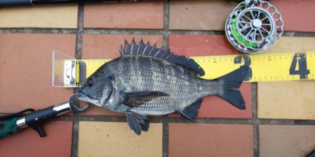 短時間にて　～辰巳一付近～