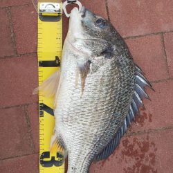 豊洲ぐるり公園