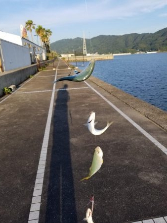 マリーナシティでジグサビキ威力発揮