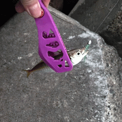 日本海アジング(2019-10)