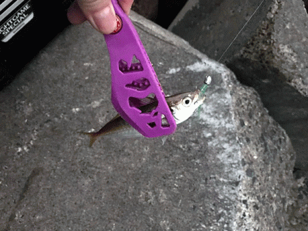 日本海アジング(2019-10)