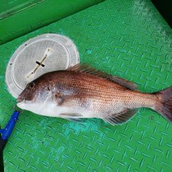 大量！良く引く日でしたっ！
