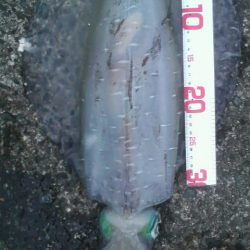 逆転ホームラン