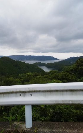 船サビキ釣りでアジサバ狙い