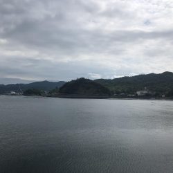 五目釣りと青物