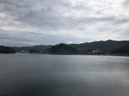 五目釣りと青物