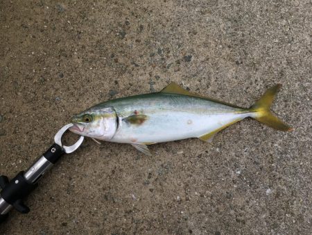 時合でわっしょい