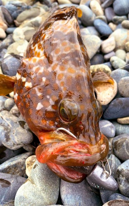 ライトロックランガン