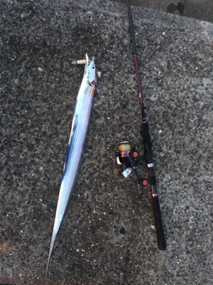 厳しい中での貴重な釣果