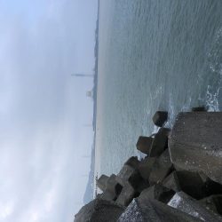 台風の影響あるなー