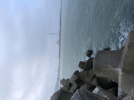 台風の影響あるなー