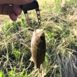 久しぶりのバス釣り