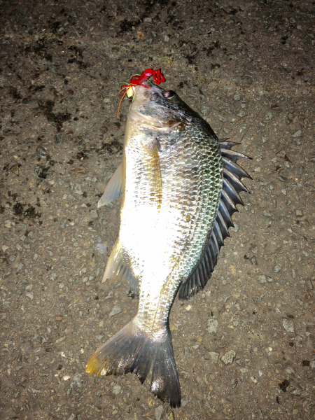 スーパーライトチニング‼️