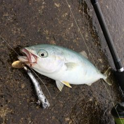 夏のスーパーライトショアジギングSLS