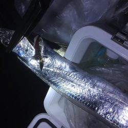 数は少ないけど