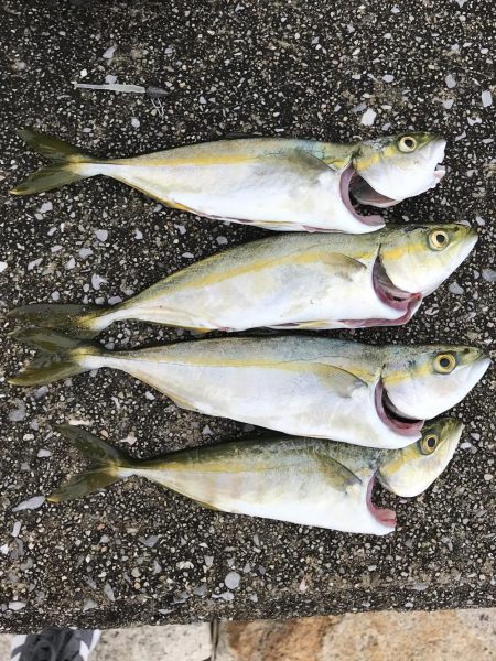 ダイソーワーム