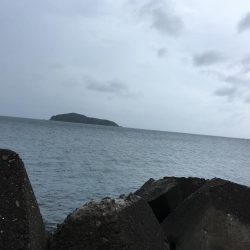 今後この海に期待大