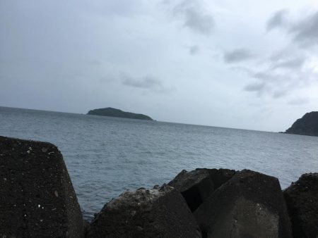 今後この海に期待大